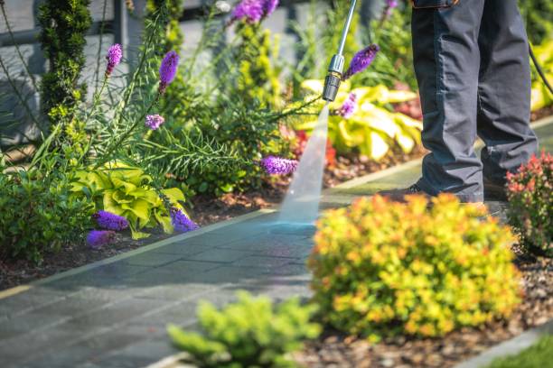 Best Pool Deck Cleaning  in Johnstown, NY